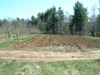 Kelly Orchard Spring Planting 2006