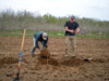 Art and Son Brian Planting Peach Trees